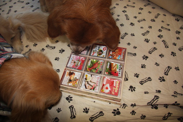 ファイル 547-2.jpg