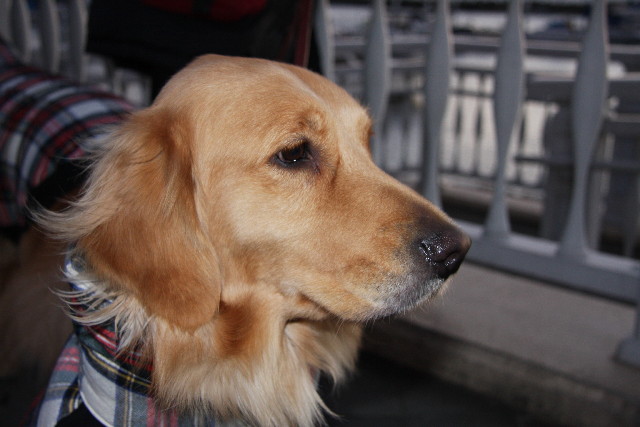 ファイル 547-3.jpg