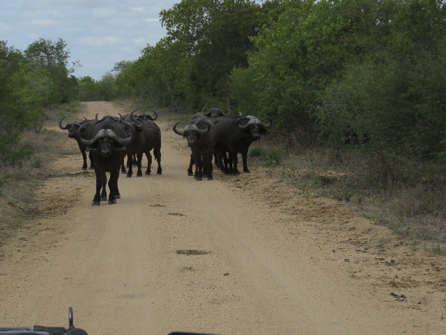 ファイル 5471-3.jpg