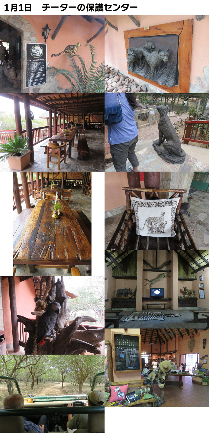 ファイル 5472-1.jpg