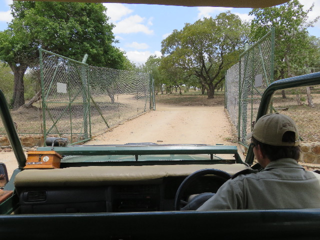 ファイル 5472-2.jpg