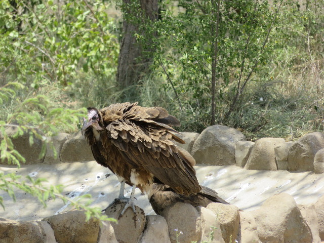 ファイル 5476-3.jpg