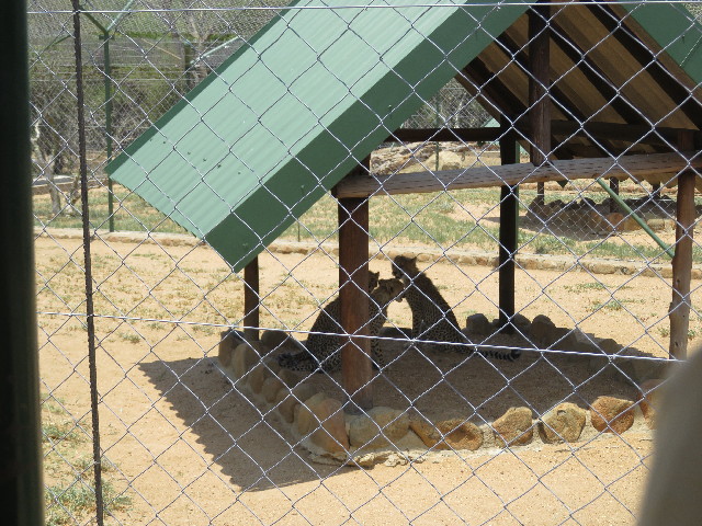 ファイル 5477-4.jpg