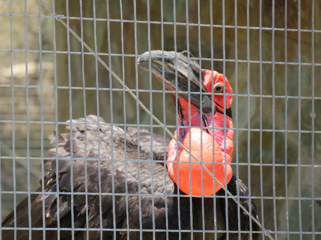 ファイル 5478-2.jpg