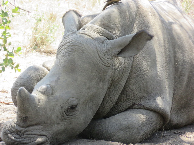 ファイル 5479-1.jpg