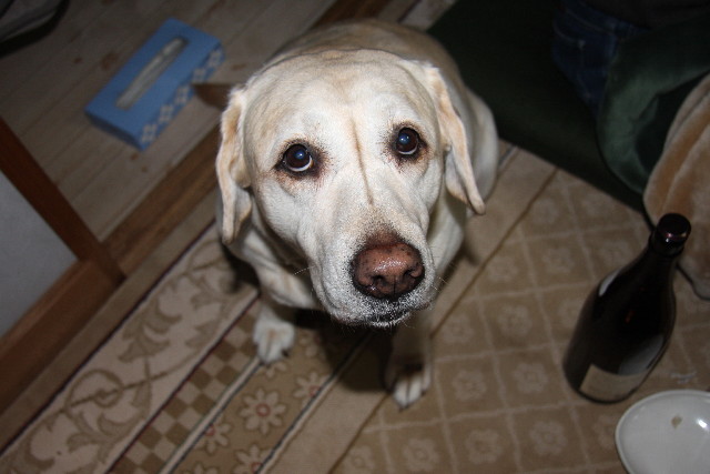 ファイル 548-1.jpg