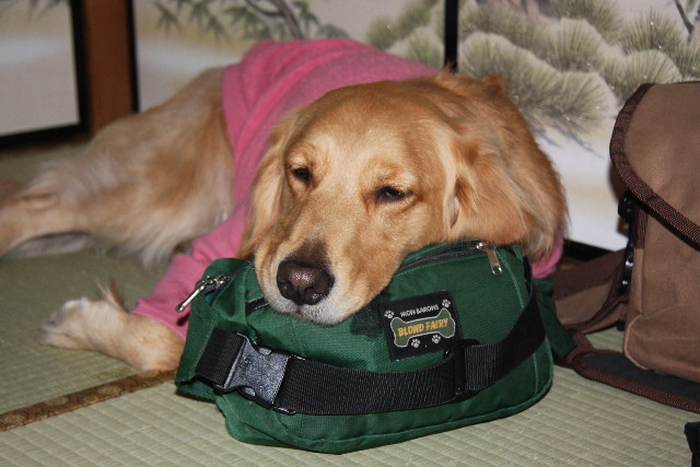 ファイル 548-3.jpg