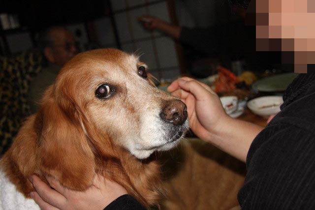 ファイル 548-4.jpg