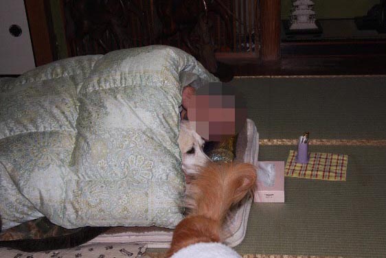 ファイル 548-5.jpg