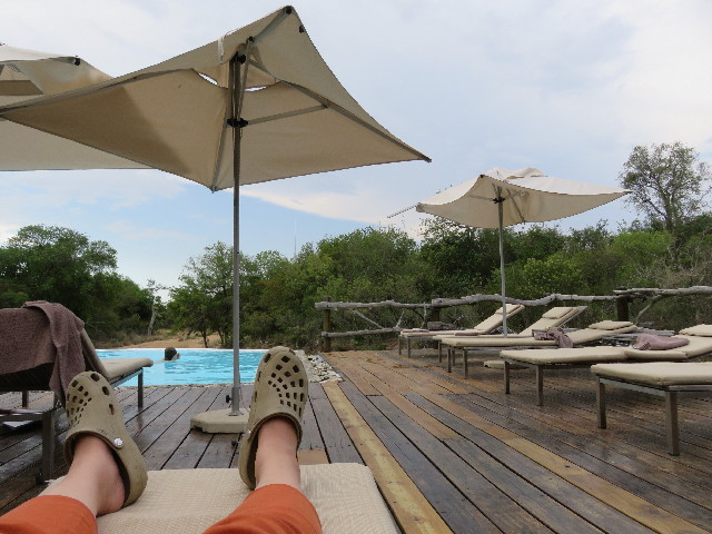 ファイル 5481-2.jpg