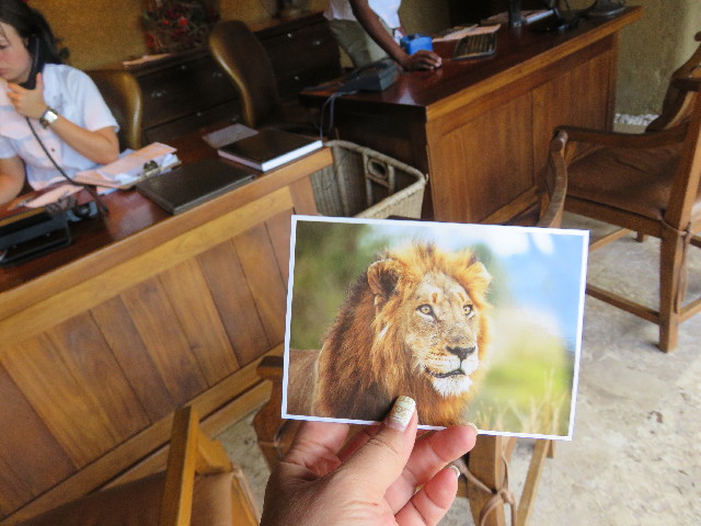 ファイル 5481-5.jpg