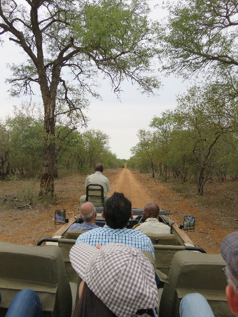 ファイル 5482-5.jpg