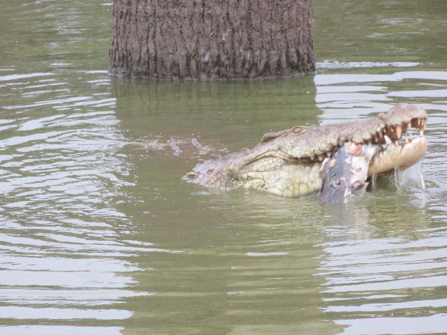 ファイル 5483-3.jpg