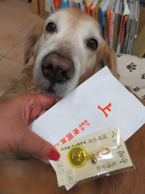 ファイル 5487-4.jpg