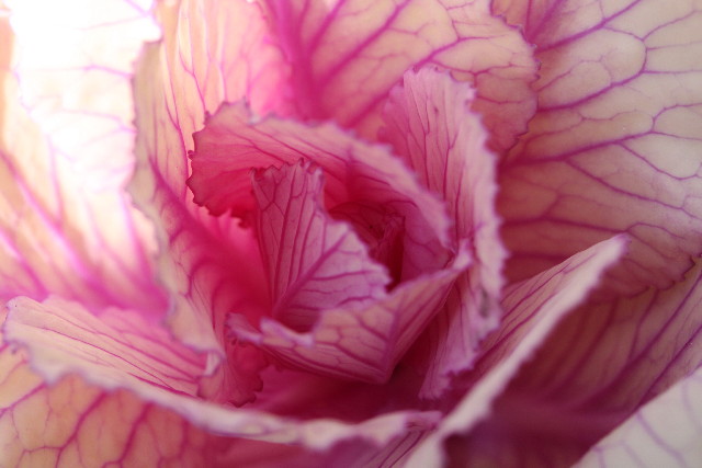 ファイル 549-2.jpg