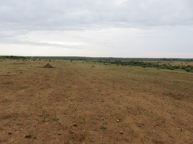 ファイル 5491-2.jpg