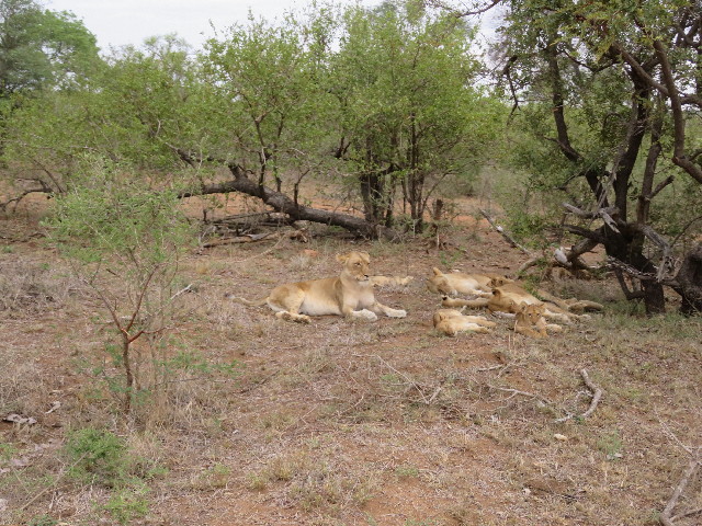 ファイル 5491-3.jpg