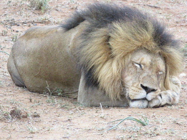 ファイル 5492-4.jpg