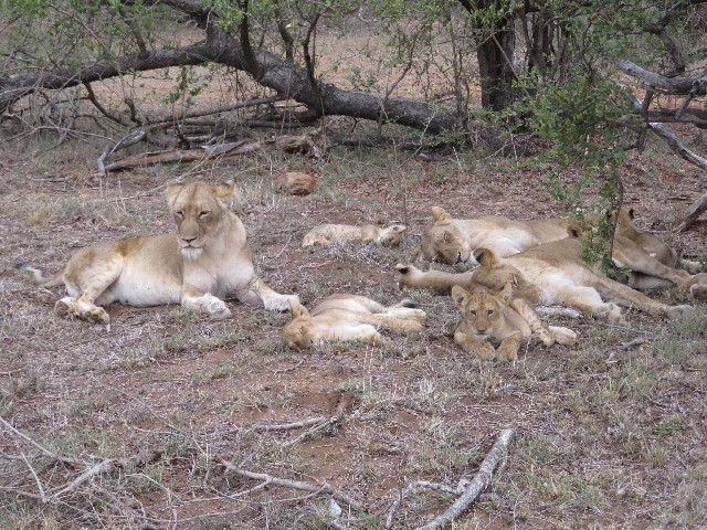 ファイル 5492-5.jpg