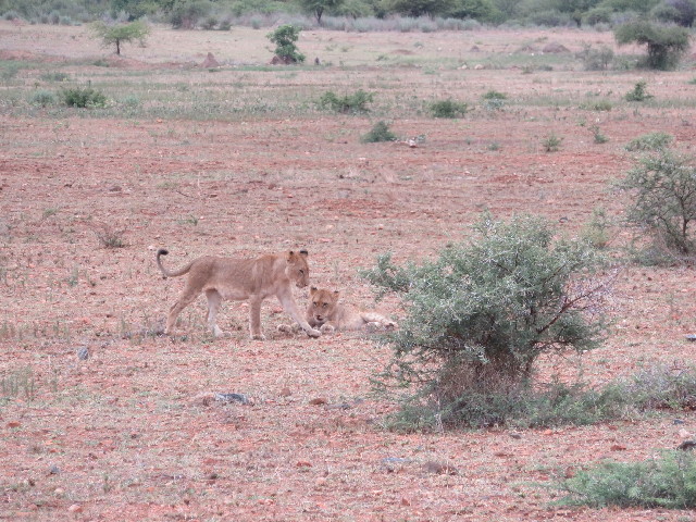 ファイル 5493-1.jpg