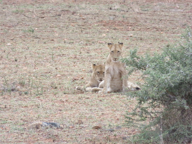 ファイル 5493-2.jpg