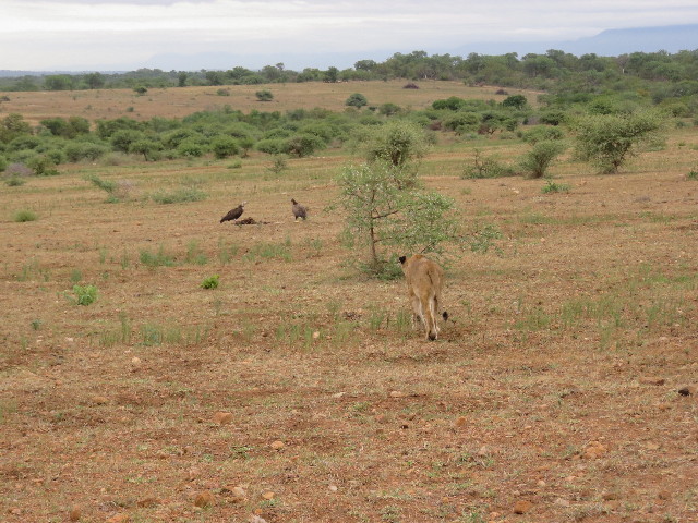 ファイル 5494-4.jpg