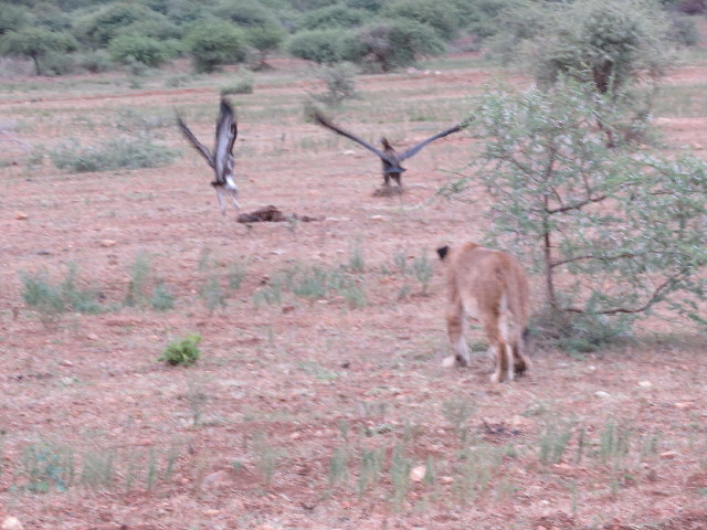 ファイル 5494-5.jpg