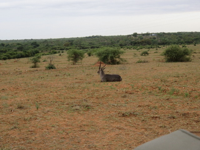 ファイル 5496-1.jpg