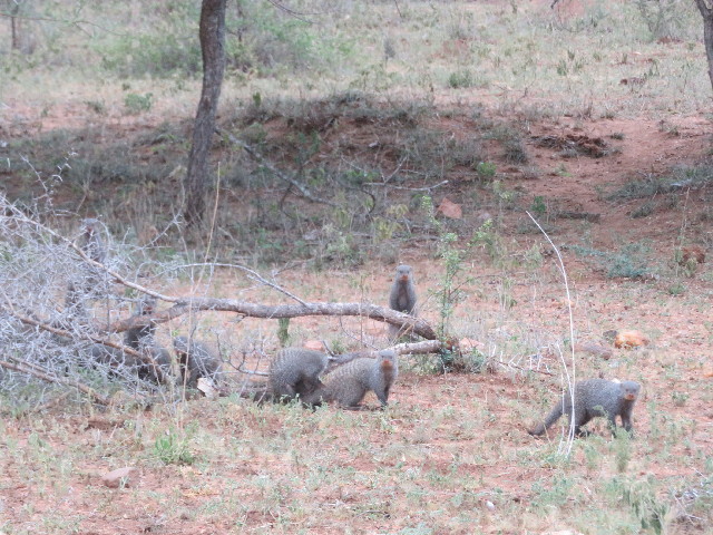 ファイル 5496-3.jpg