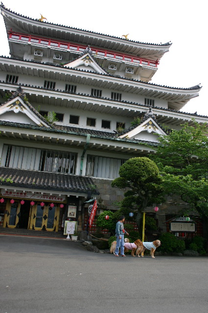 ファイル 550-1.jpg