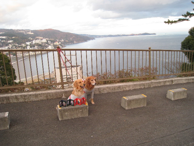 ファイル 550-4.jpg