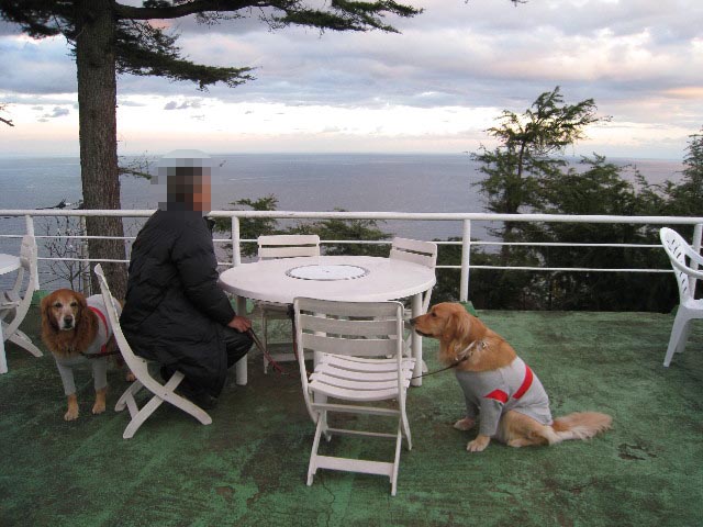 ファイル 550-5.jpg