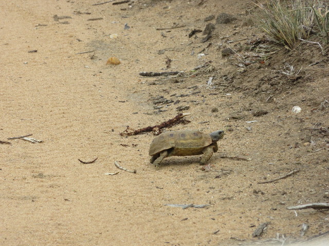 ファイル 5502-4.jpg