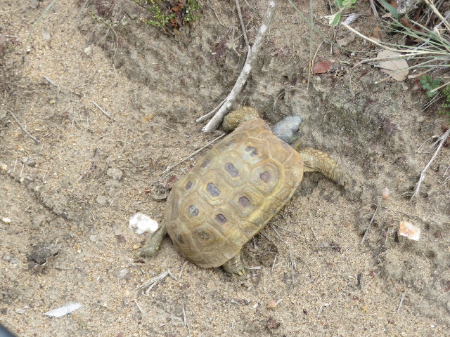 ファイル 5502-5.jpg