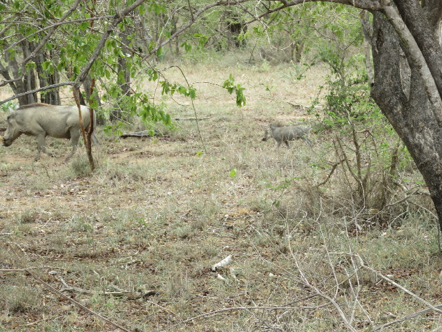 ファイル 5504-1.jpg