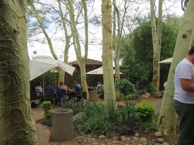 ファイル 5506-1.jpg