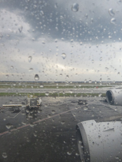 ファイル 5507-1.jpg