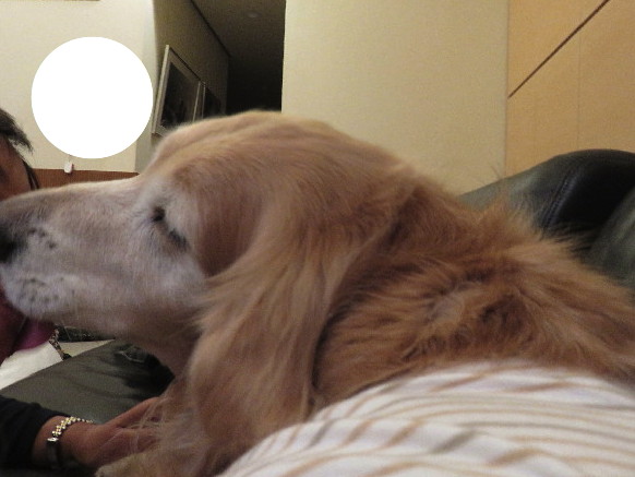 ファイル 5508-3.jpg