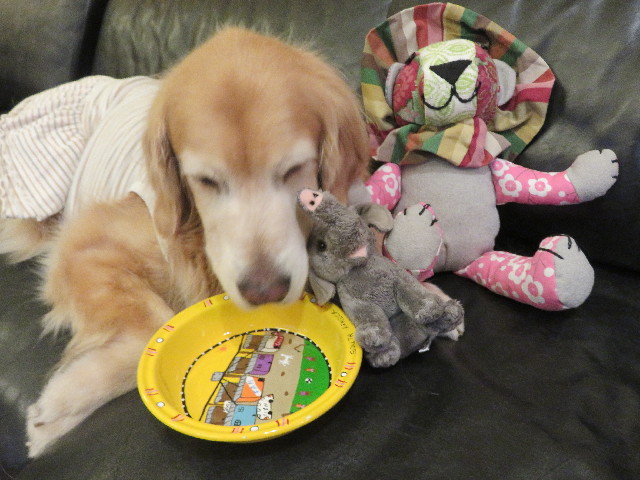 ファイル 5508-4.jpg