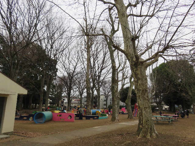 ファイル 5509-1.jpg