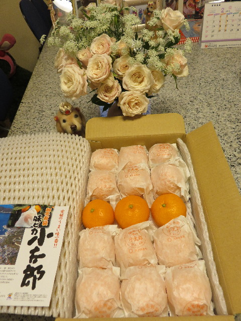 ファイル 5509-5.jpg