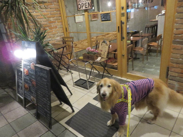 ファイル 5510-1.jpg