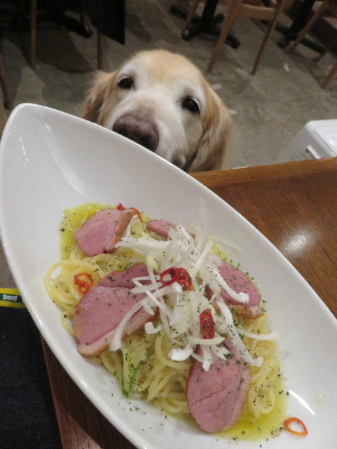 ファイル 5510-5.jpg