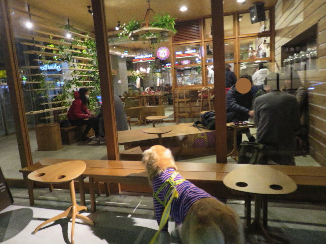 ファイル 5511-2.jpg