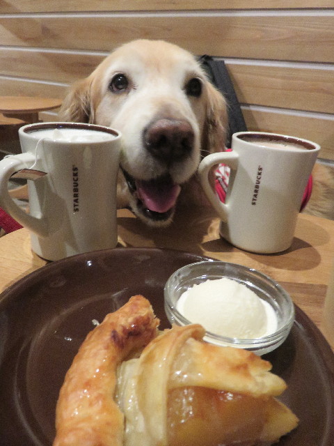 ファイル 5511-5.jpg