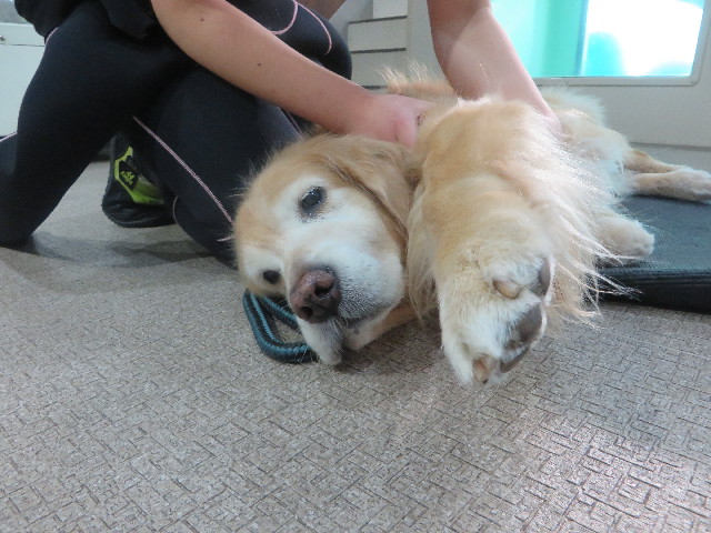 ファイル 5514-1.jpg