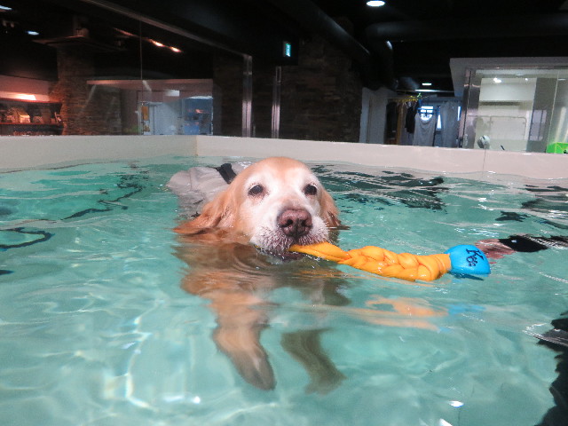 ファイル 5514-2.jpg