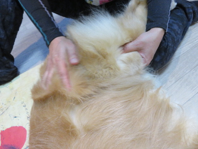 ファイル 5515-2.jpg