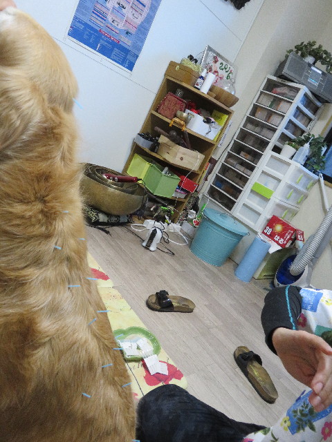 ファイル 5515-3.jpg