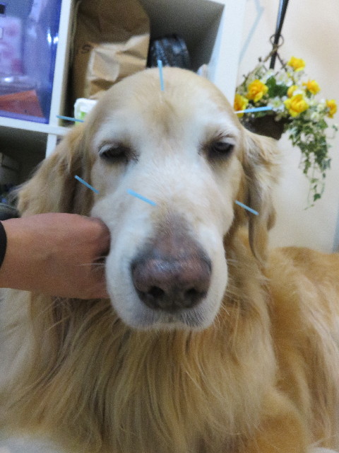 ファイル 5515-4.jpg